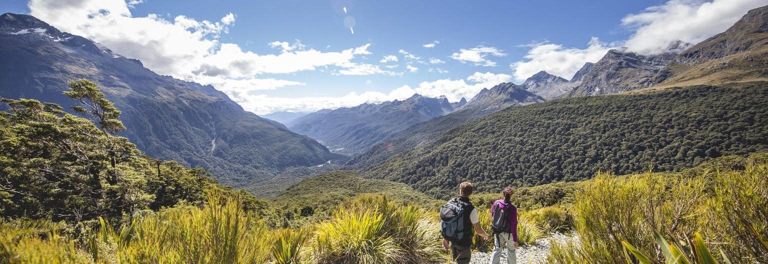 Wildschut a,sterdam Holland