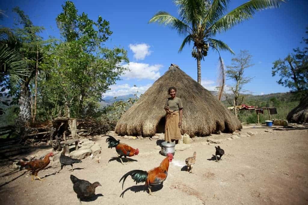 Timor Leste