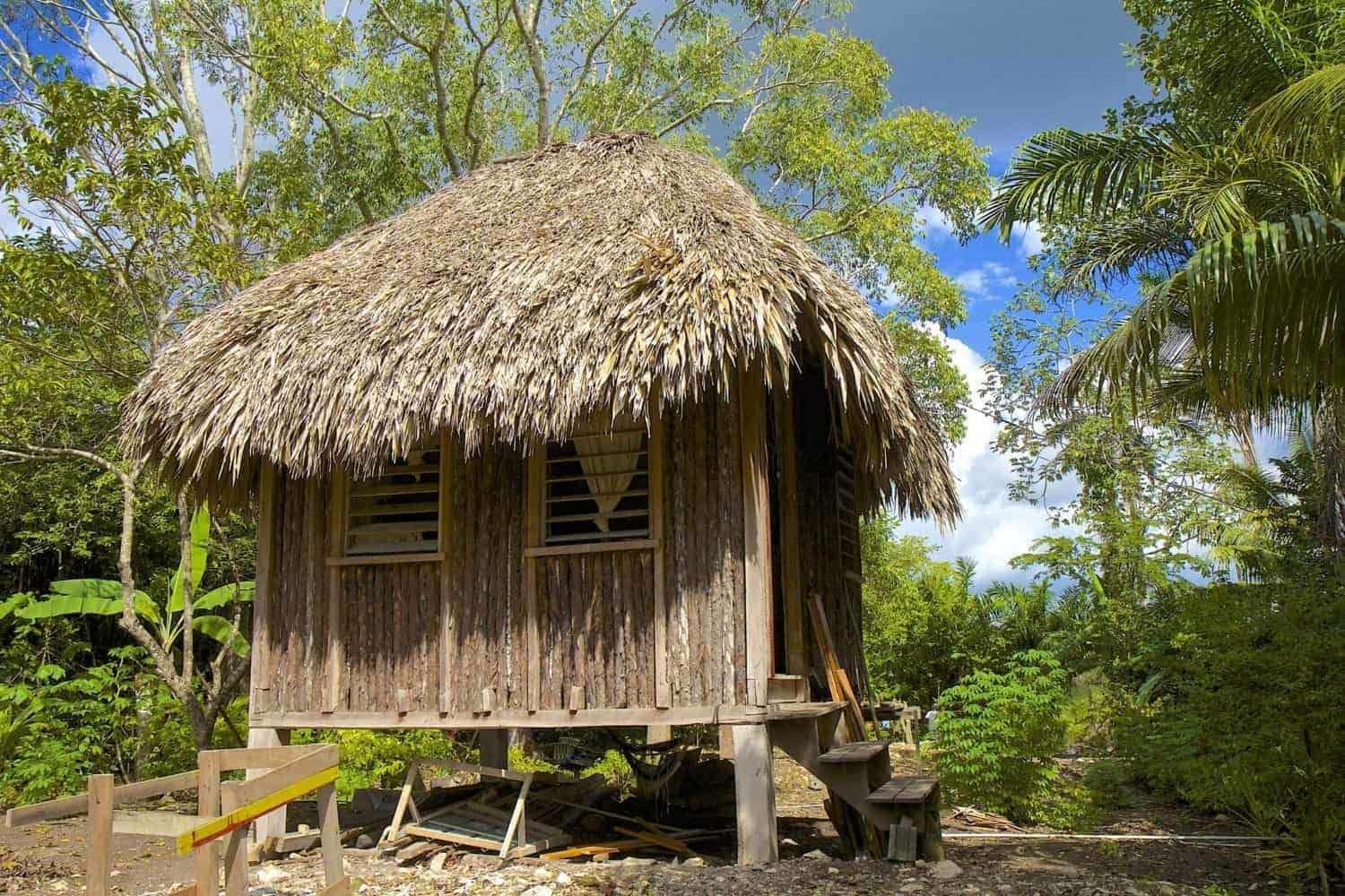 Traditional hut on Mayan site of Altun Ha in Belize, CaribbeanTraditional hut on Mayan site of Altun Ha in Belize, Caribbean