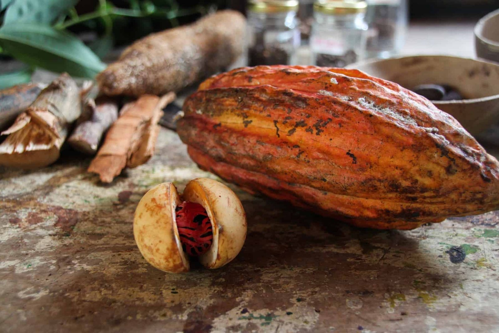 Cocoa at the carribean island of Grenada