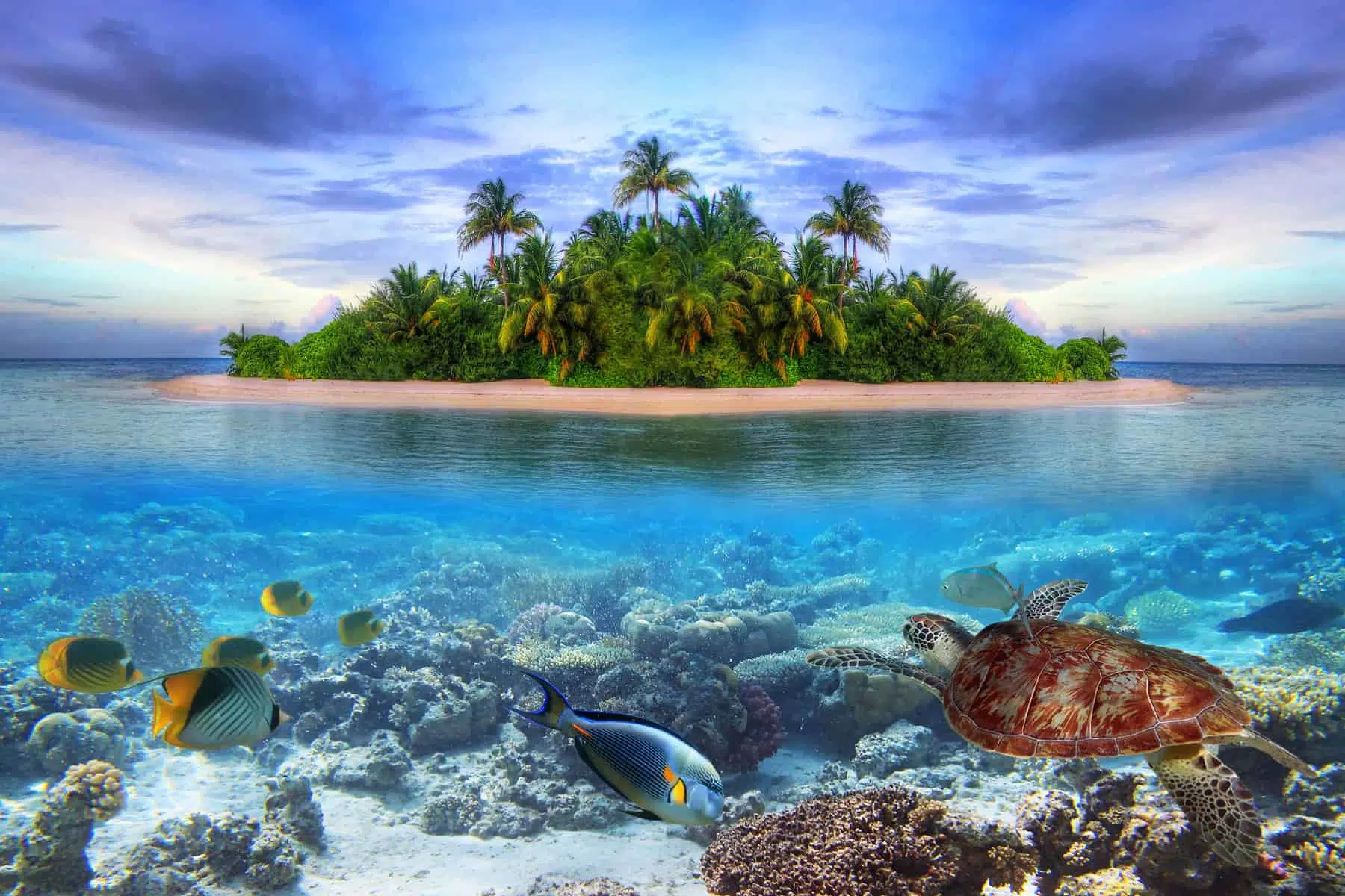 Smallest country in Asia, maldives with underwater life