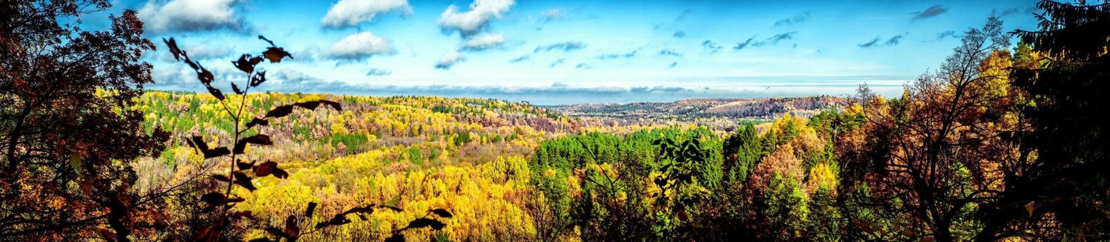 Picturesque panoramic view of autumn landscape in Sigulda. Latvia