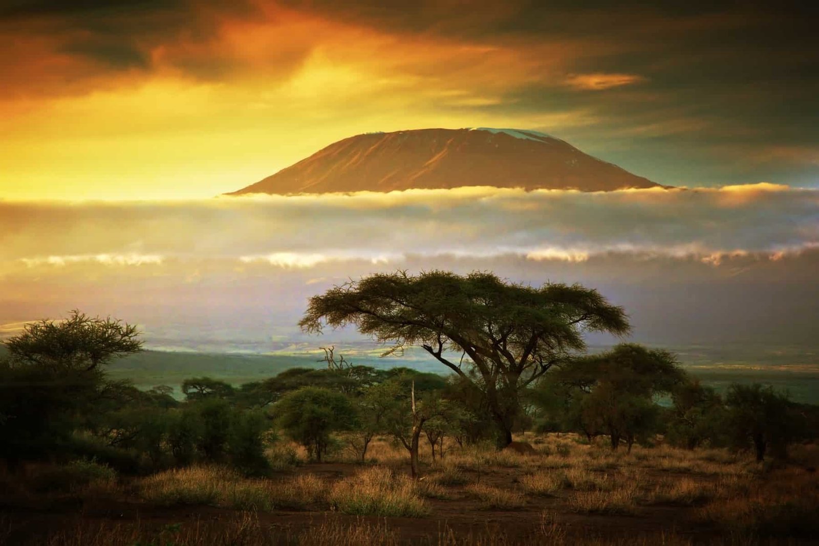 Mount Kilimanjaro and clouds line at sunset, view from savanna landscape in Amboseli, Kenya, Africa