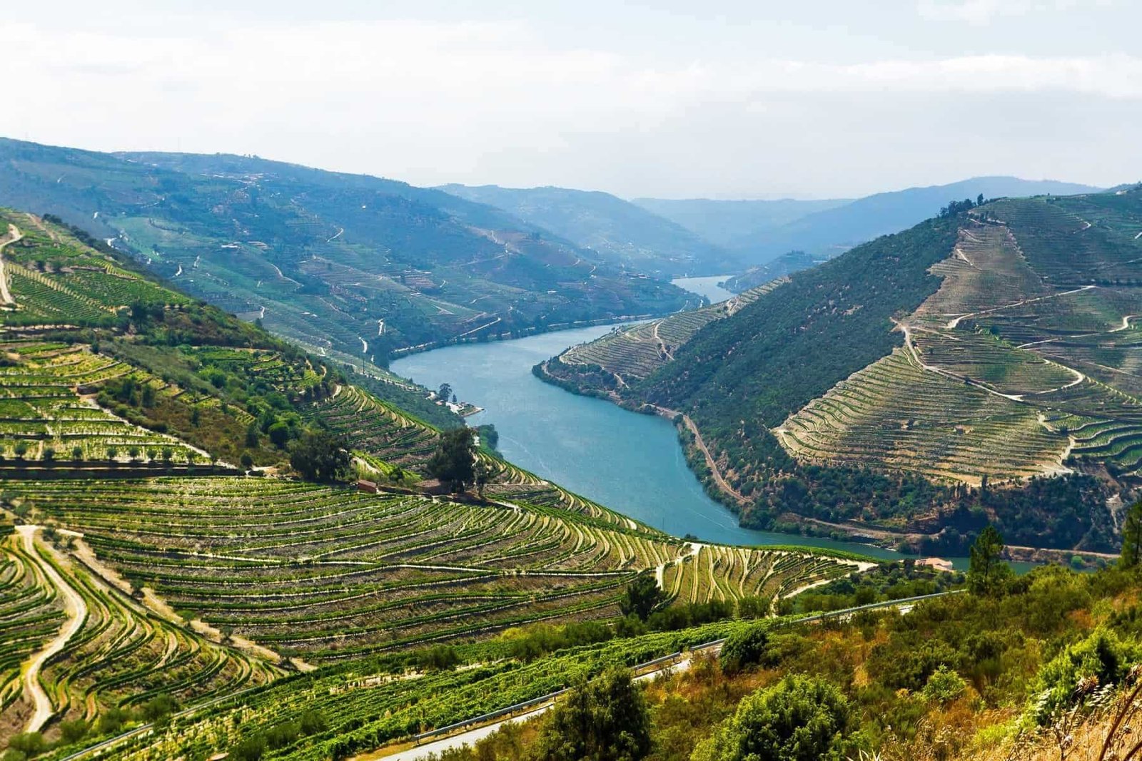 Vineyards along Rio Douro