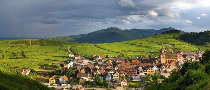 French wine regions:: Alsace near Germany, home of many top restaurants top wines
