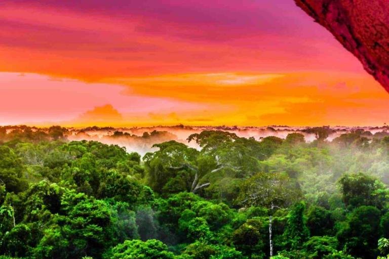 Brasilien. Purple sunset over the brazilian rainforest in the Amazon region