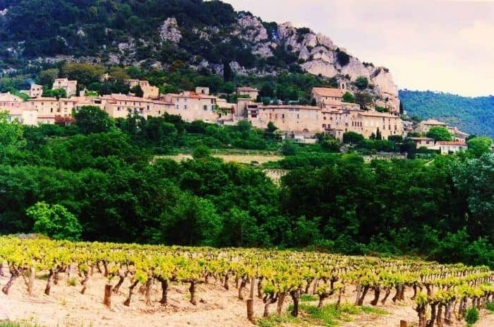 Cotes-du Rhone-Village-Seguret-wine yards