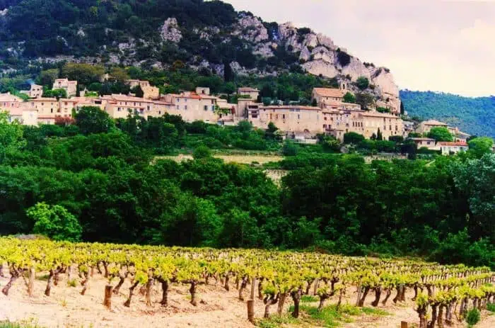 Cotes-du Rhone-Village-Seguret-wine yards
