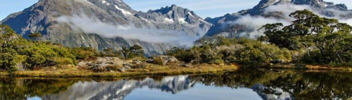 Cruising New Zealand