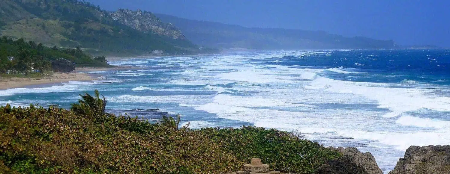 Barbados untouched coastline
