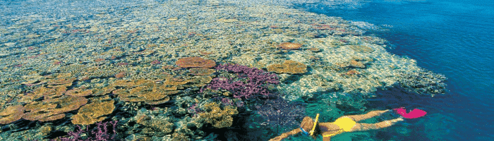 Great Barrier Reef in Australia