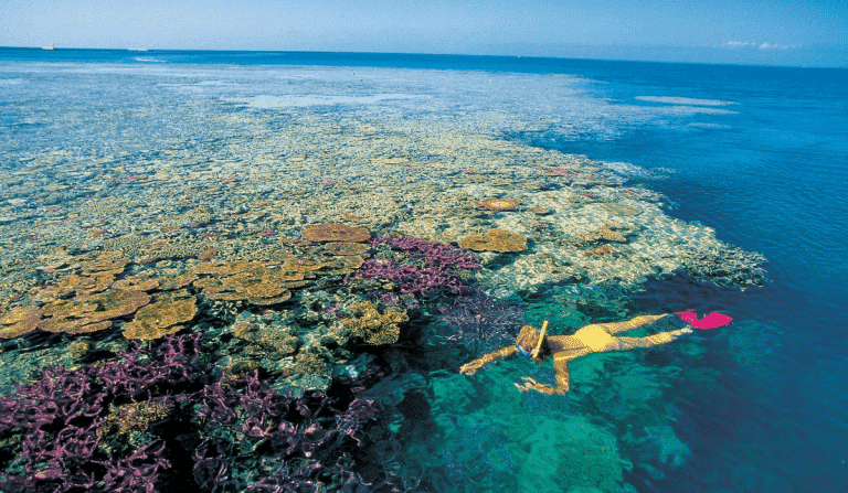 Great Barrier Reef in Australia