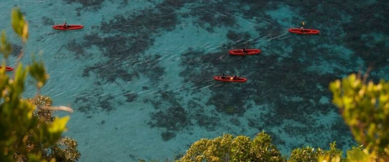 Kajaktur i mangroven uden for Singapore. Og se sjældne søkøer!