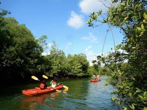 ubin-singapore-kayak excursion