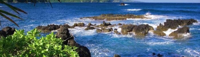 Menjangan hjorten, Bali