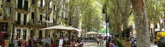 Palma de mallorca. Paseo del Borne
