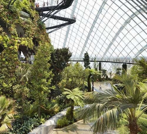 Singapore, garden-by-the-bay-flower-dome