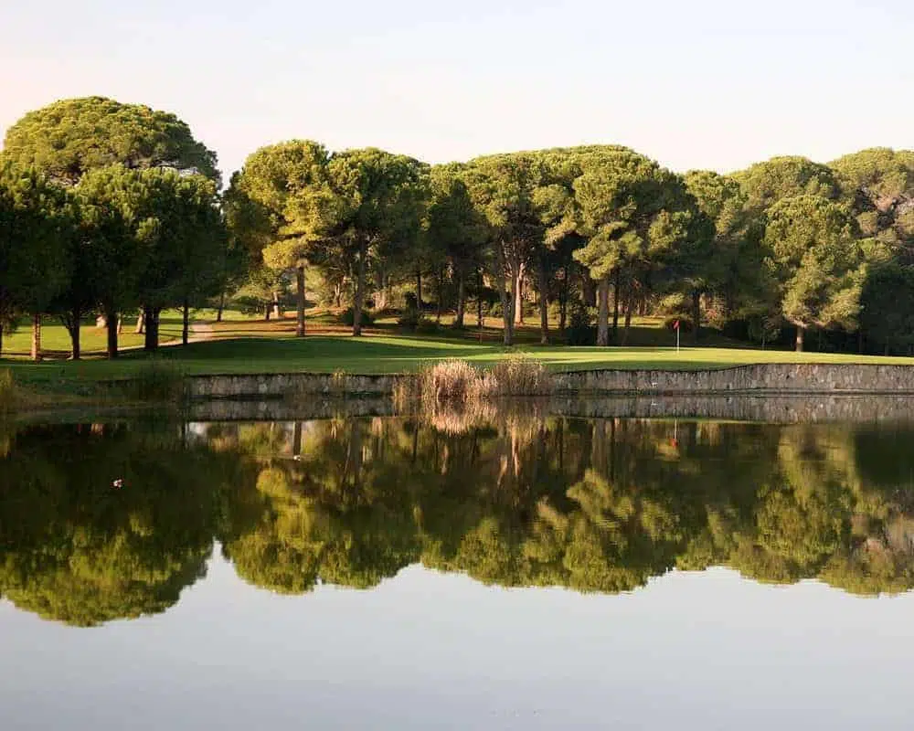 Gloria Verde Course