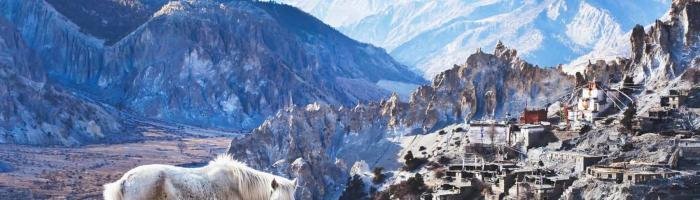 Landscape with horse from Nepal, Tibet