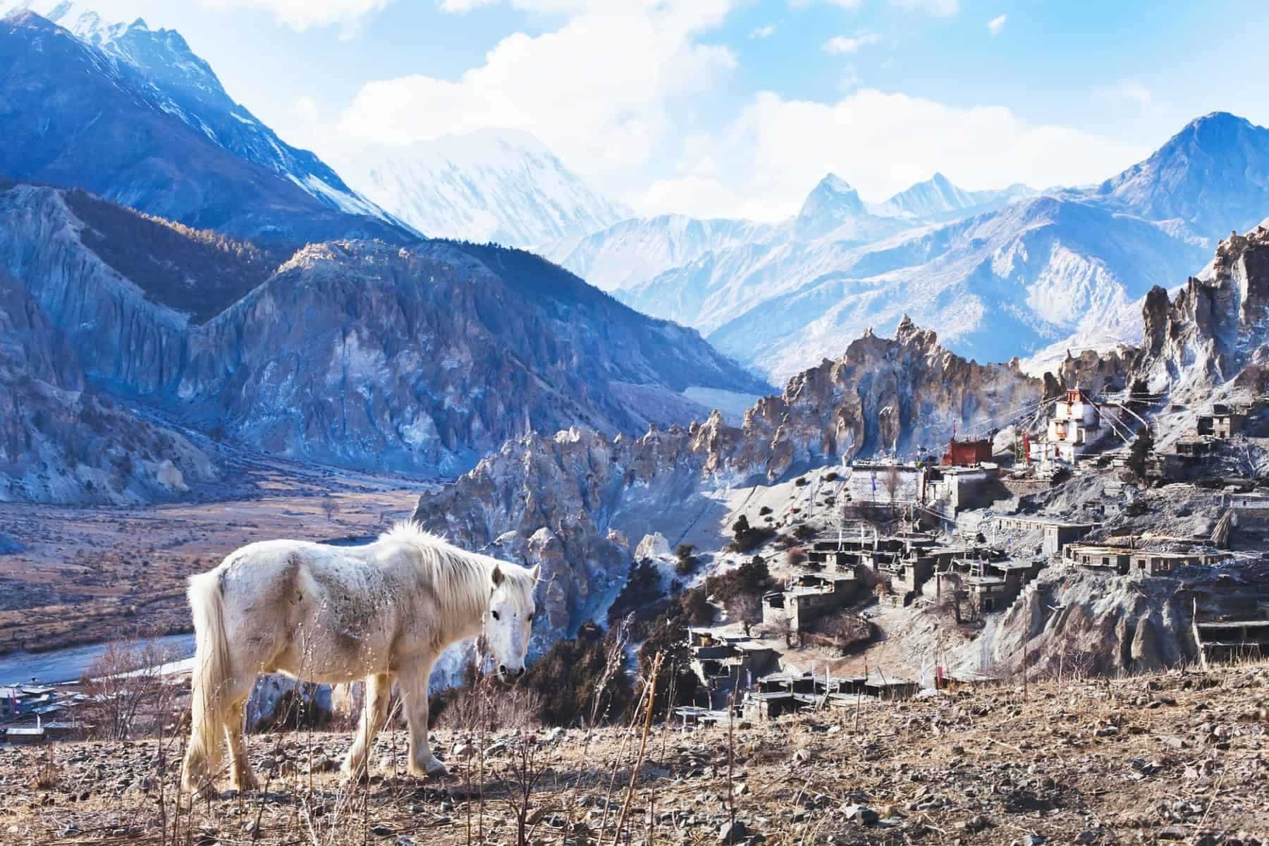 Landscape with horse from Nepal, Tibet