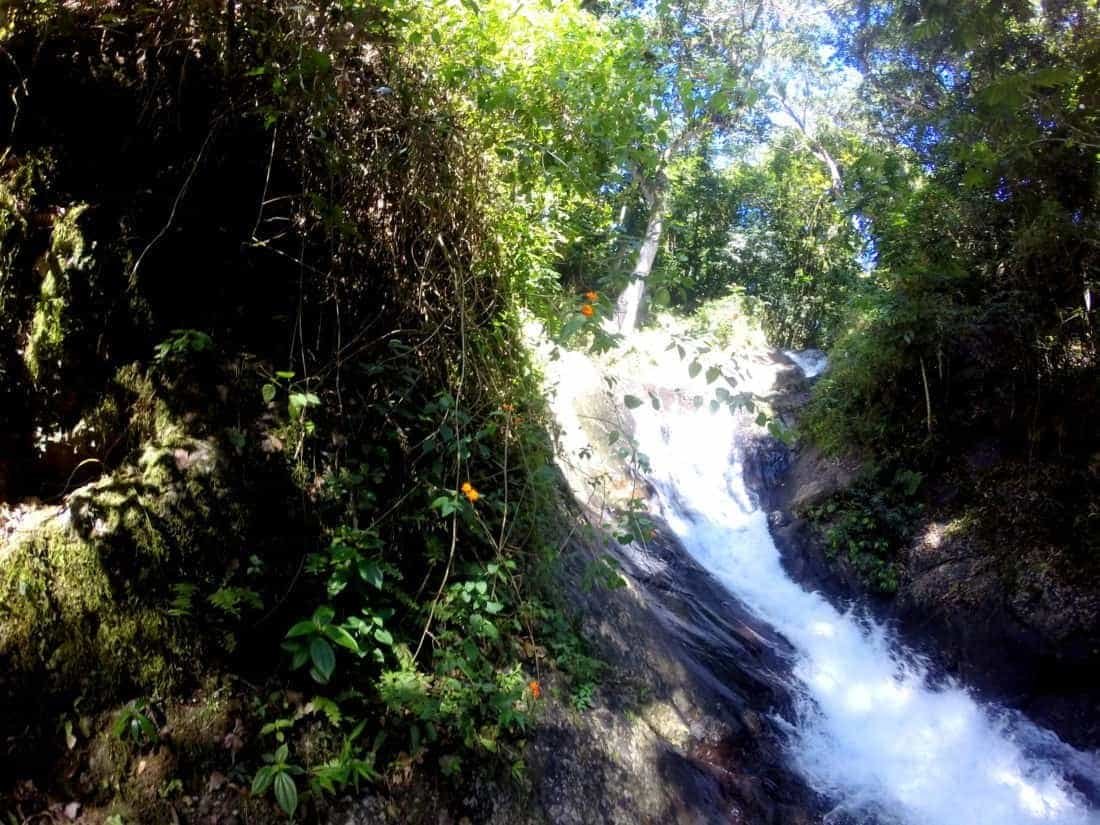 Taveuni Fiji