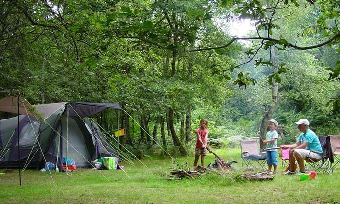 Camping right on a farmer´s area in France and so close to nature