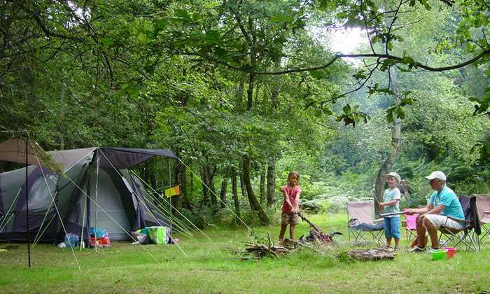 Camping right on a farmer´s area in France and so close to nature