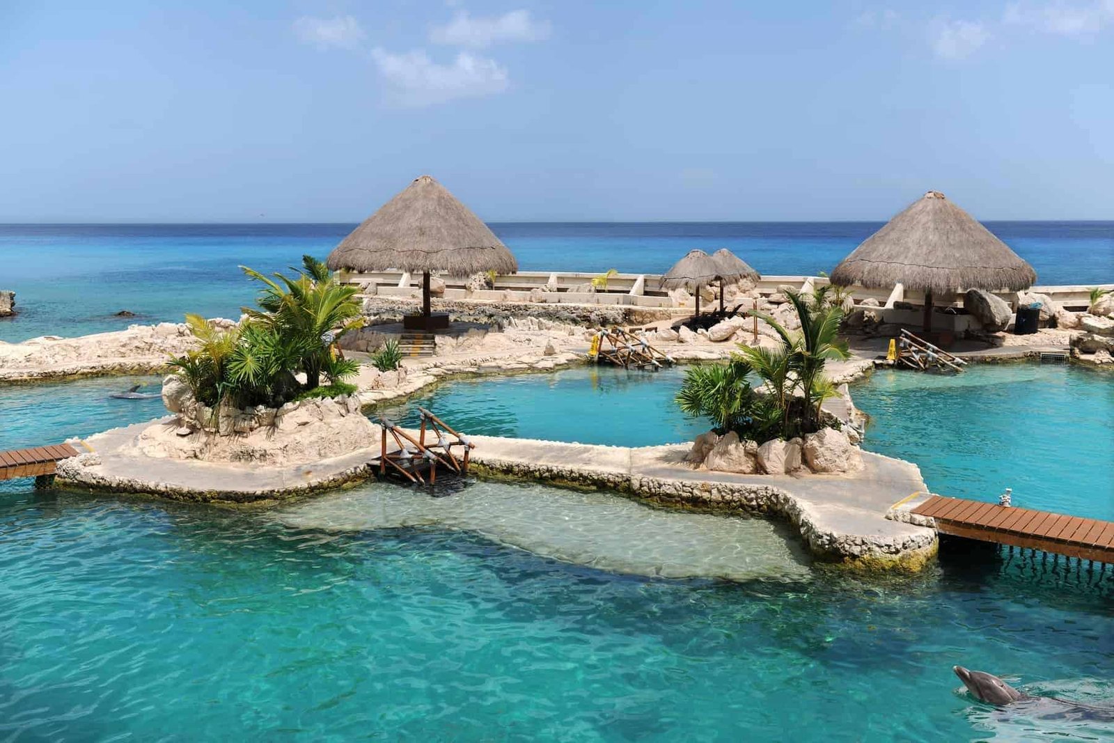 Dolphinarium in Cozumel Mexico