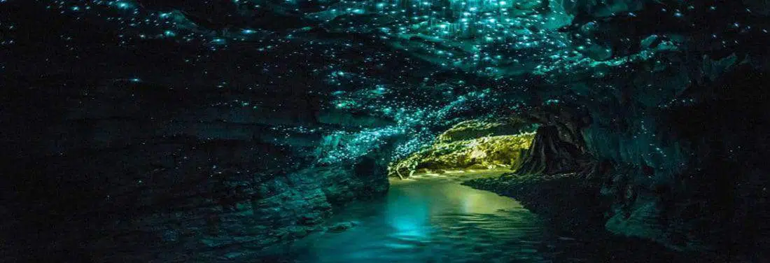 Waitomo-Glowworm-Caves