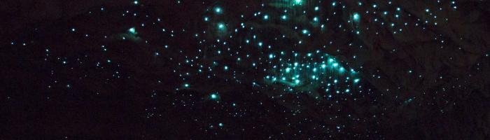 waitomo glow worms top photo