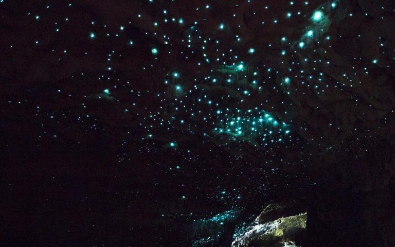 waitomo glow worms top photo