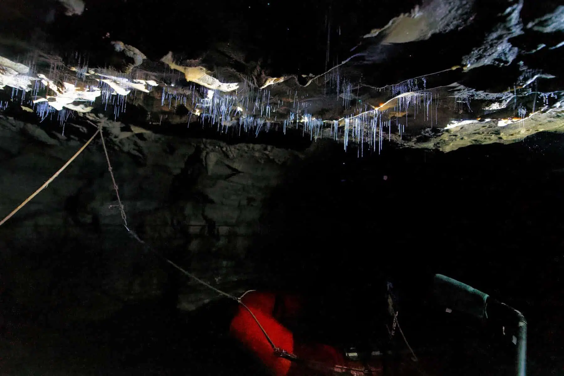 waitomo-glowworms-filaments