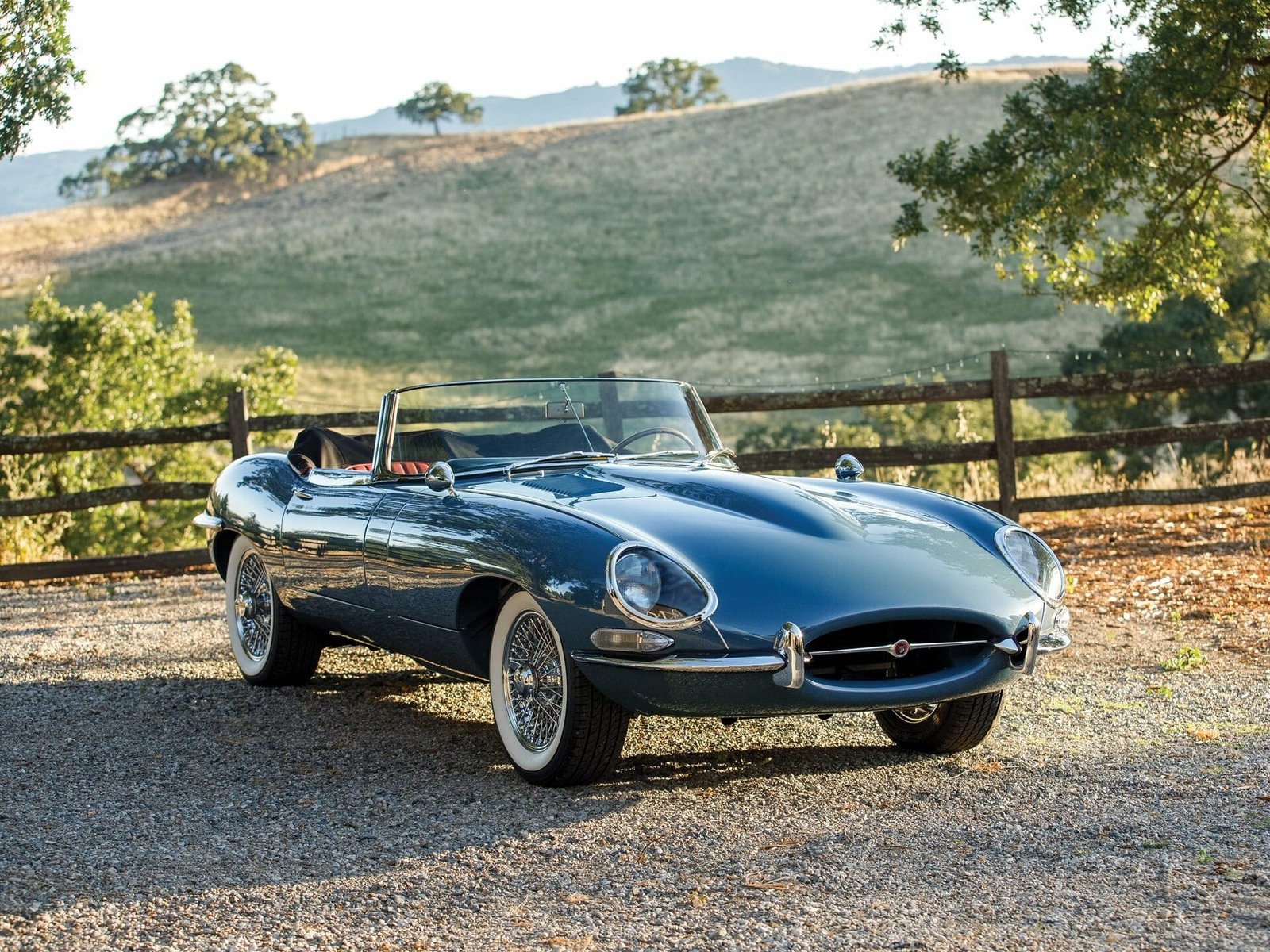 Jaguar French country side