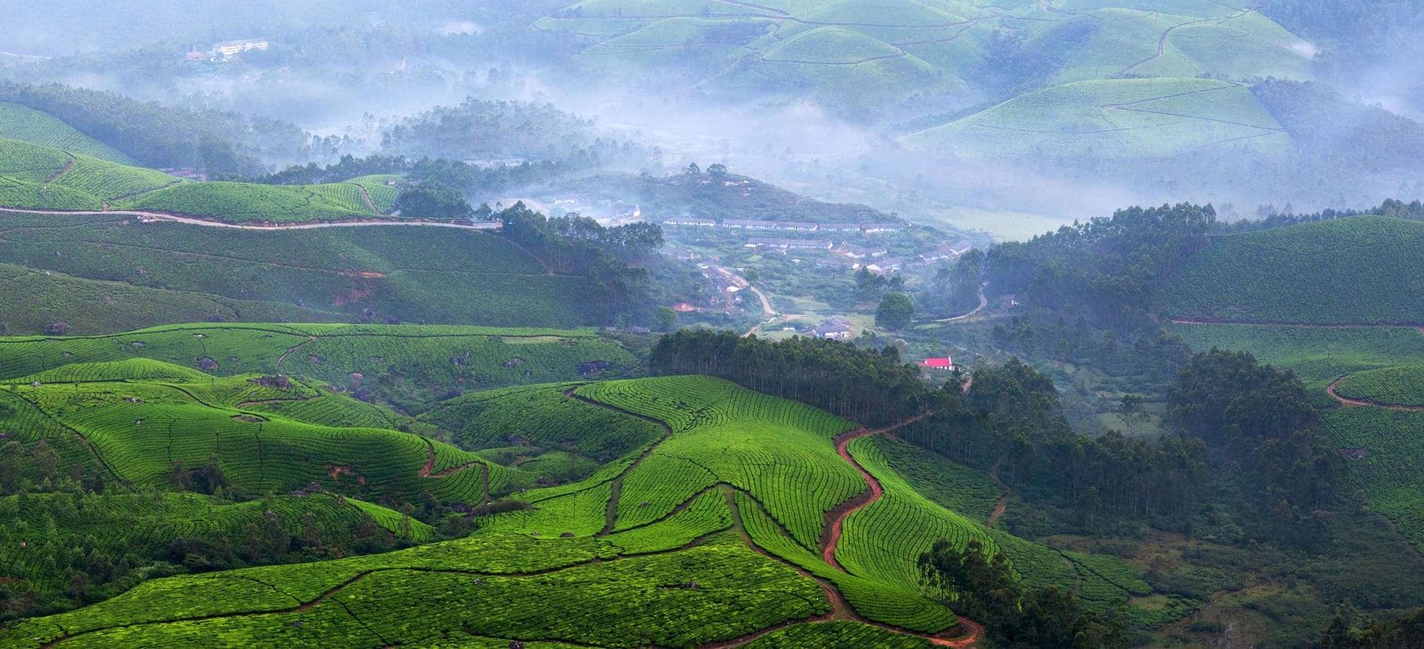 Panorama of tea plantations in Munnar, Kerala, South India. It is situated at around 1,600 metres above sea level in the Western Ghats range of mountains.