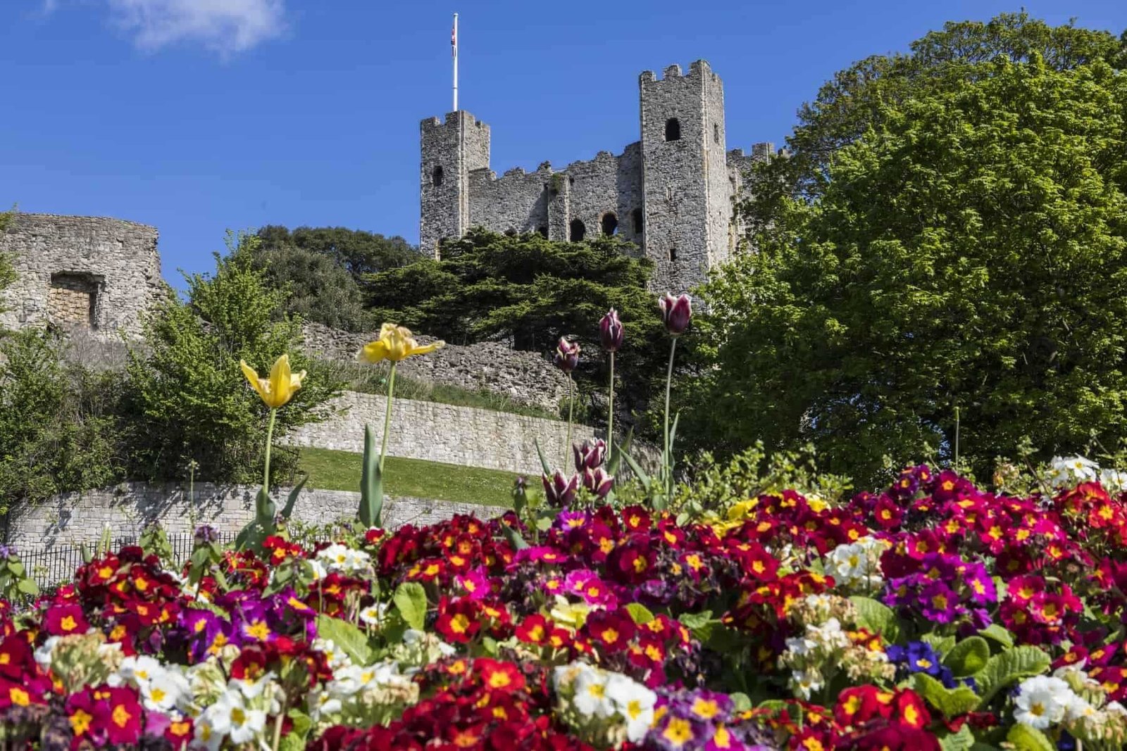 A view of Rochester Castle with beautiful flowers in the foreground, in the historic city of Rochester in Kent, UK.