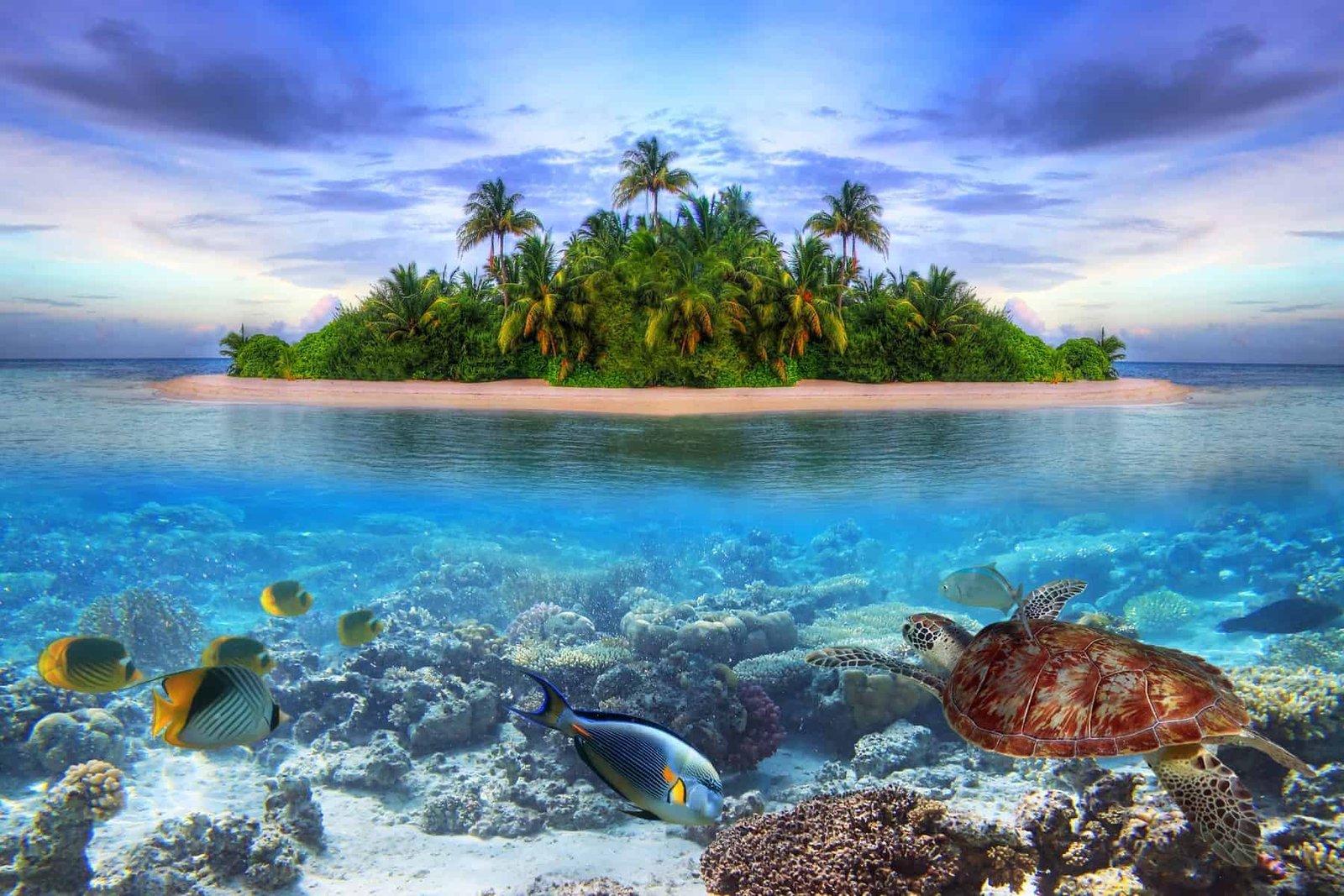Smallest country in Asia, Maldives with amazing underwater life