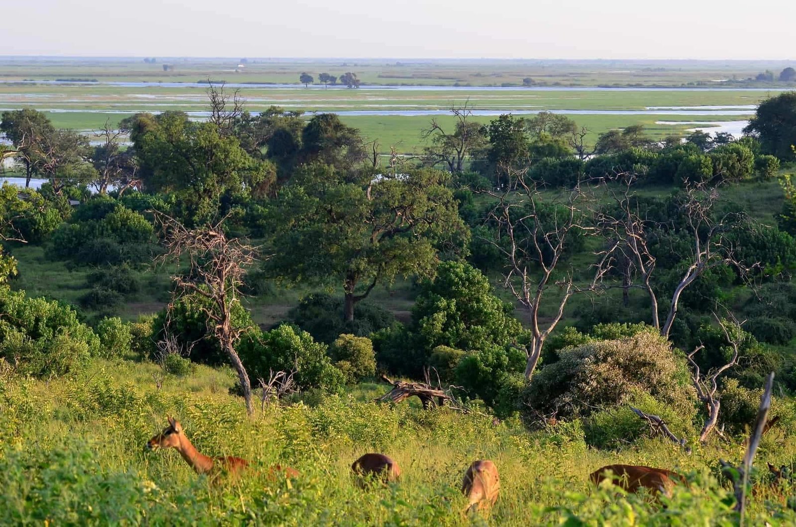 Chobe National Park