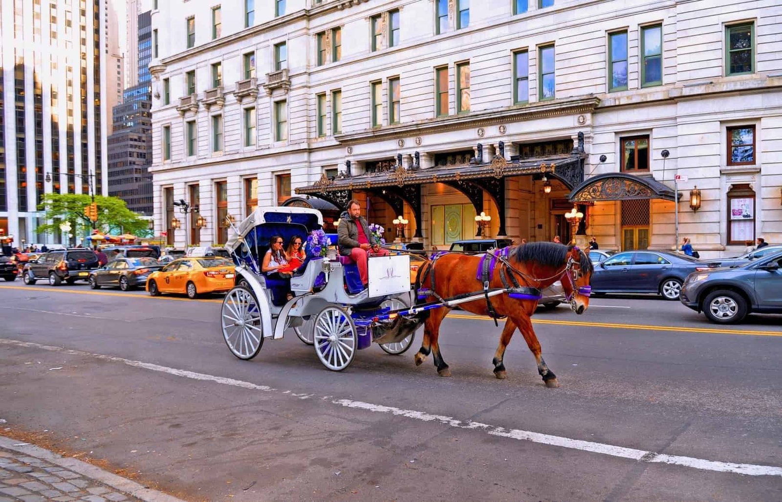 Horse carriage at the Central Park in front Plaza Hotel in New York, the most picturesque and romantic ways to see the Central Park. Manhattan