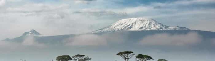 Amboseli national park, kenya