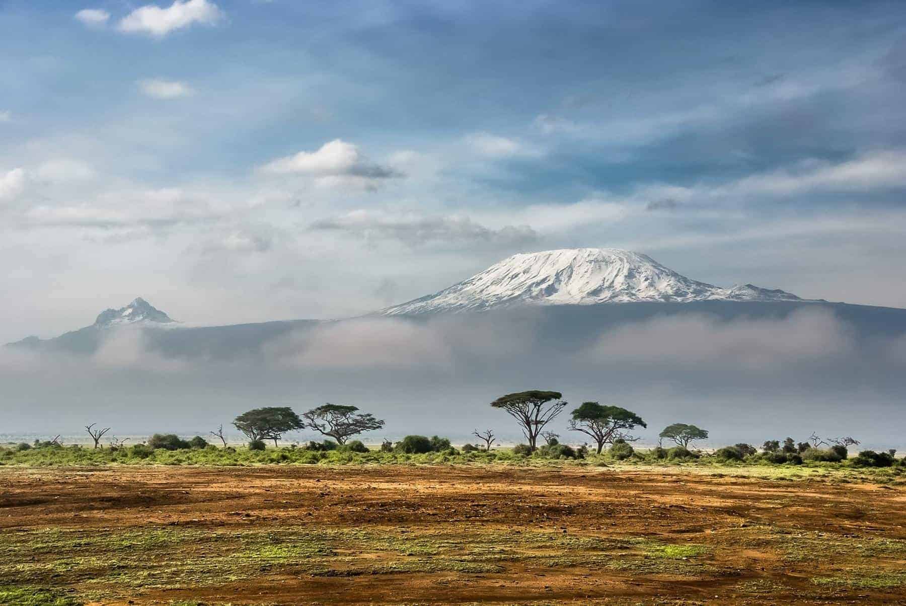Amboseli national park, kenya