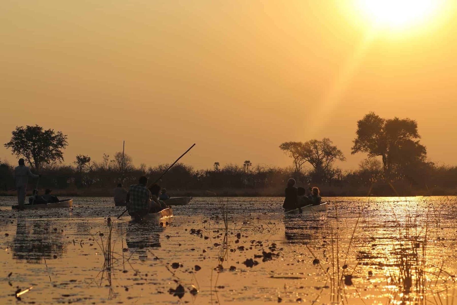 With mokoro in the Okavango Delta in Botswana on holiday. Travelling in summer.