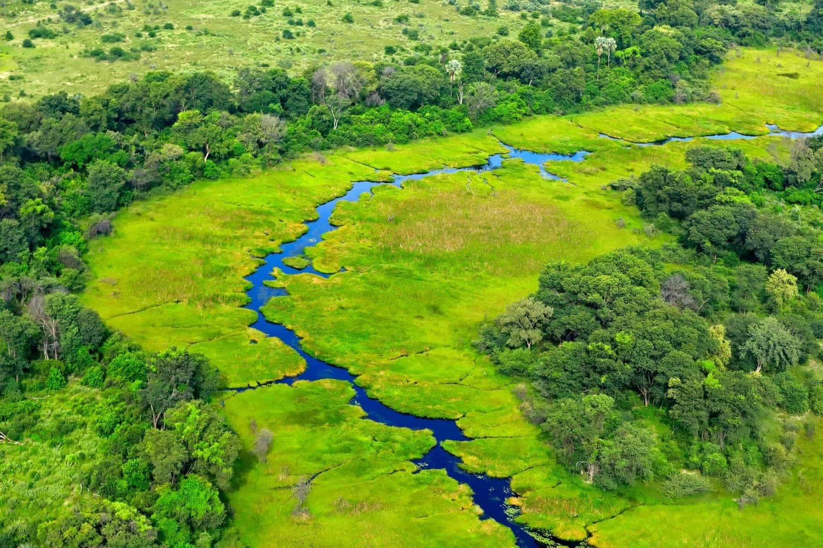 Aerial landscape in Okavango delta, Botswana. Lakes and rivers, view from airplane. Green vegetation in South Africa. Trees with water in rainy season.