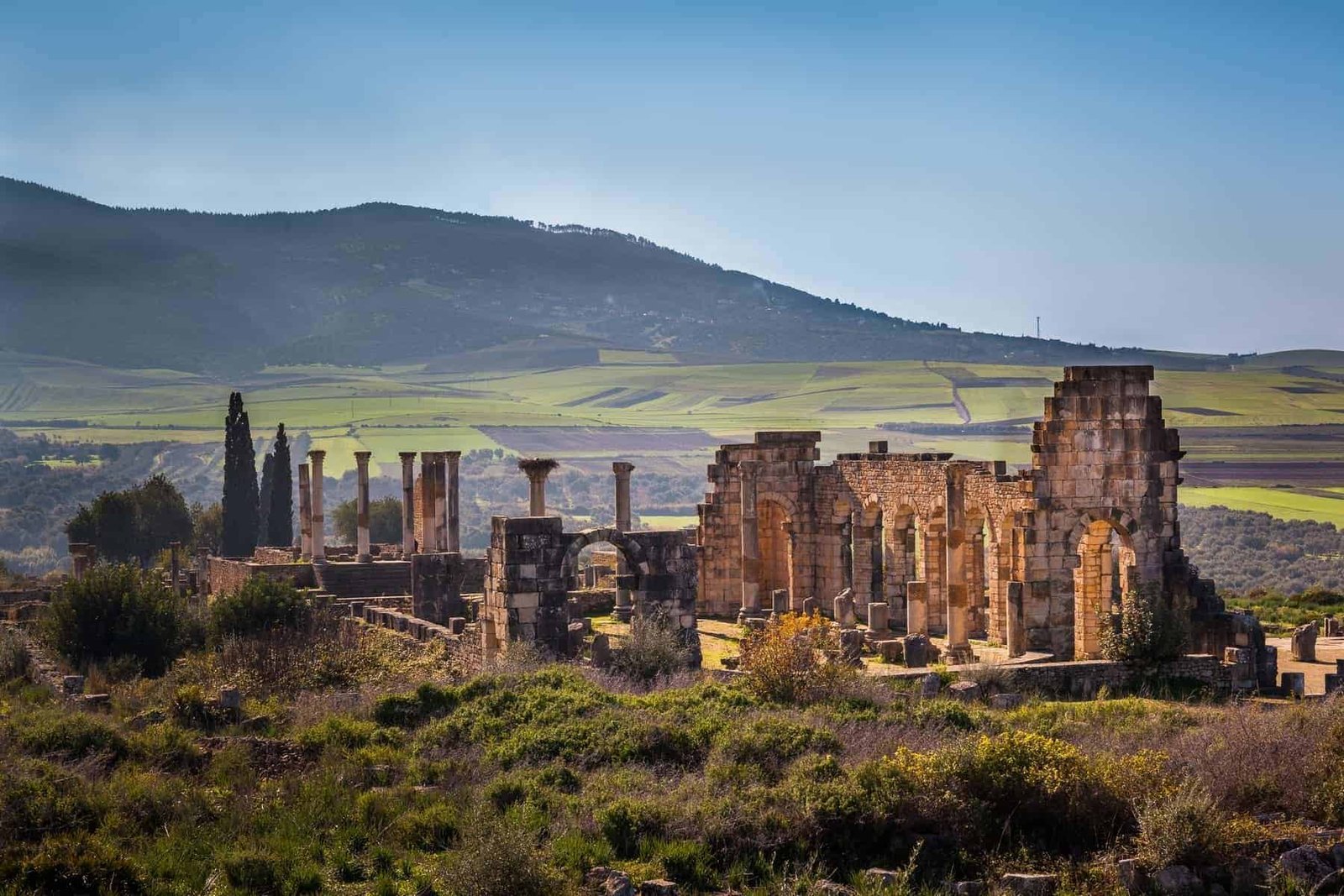 View of the Basilica, Volubilis, Morocco