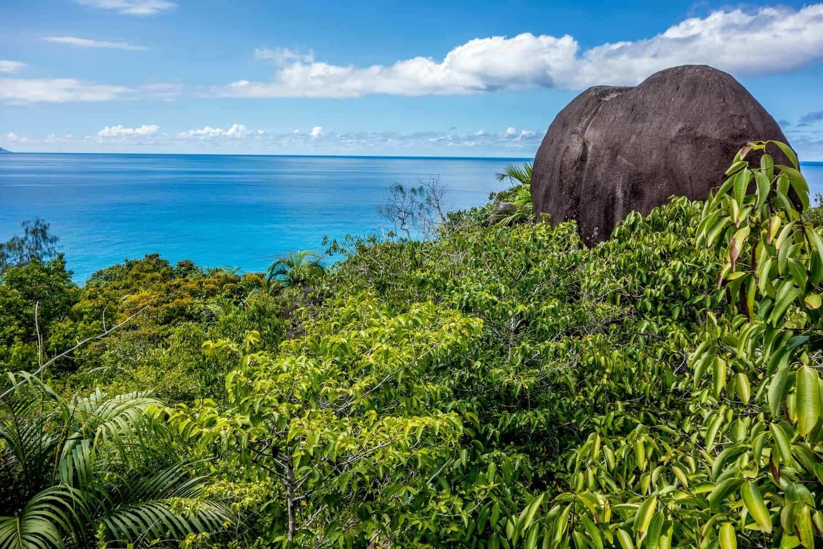 Morne Seychellois National Park in Mahe Seychelles main island
