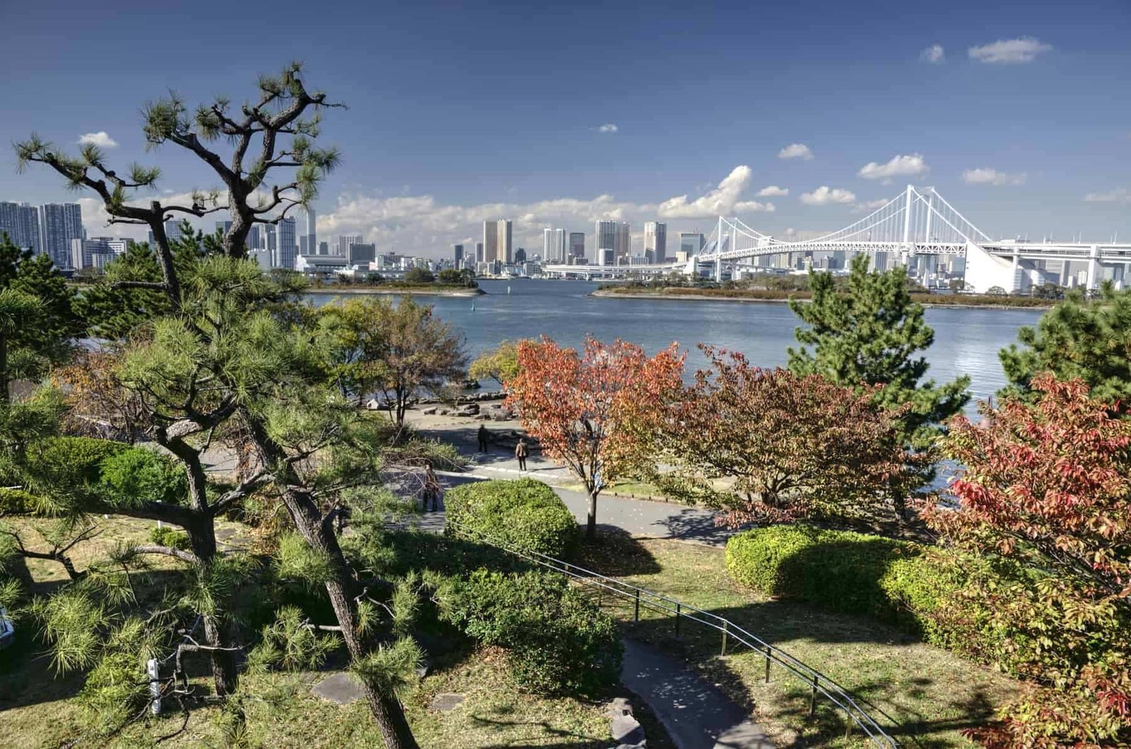 Autumn in hidden park in Tokyo Bay Japan with view on skyscrapers and bridge on background during nice sunny day.