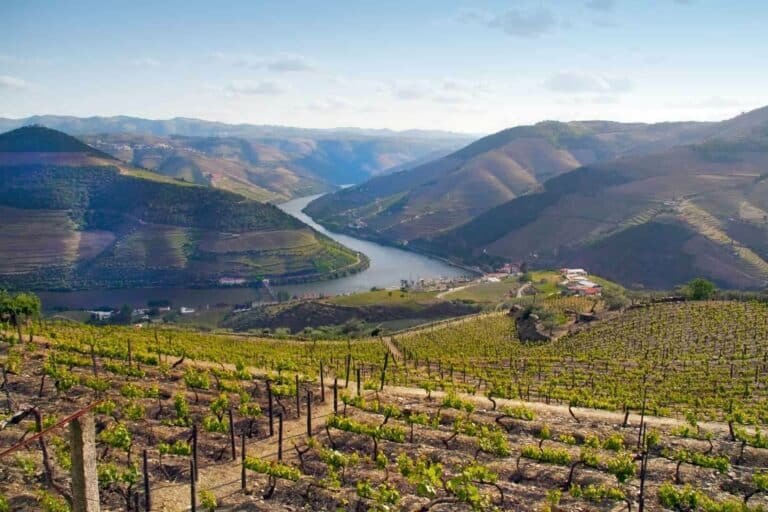 Portugal, Douro river and wine country