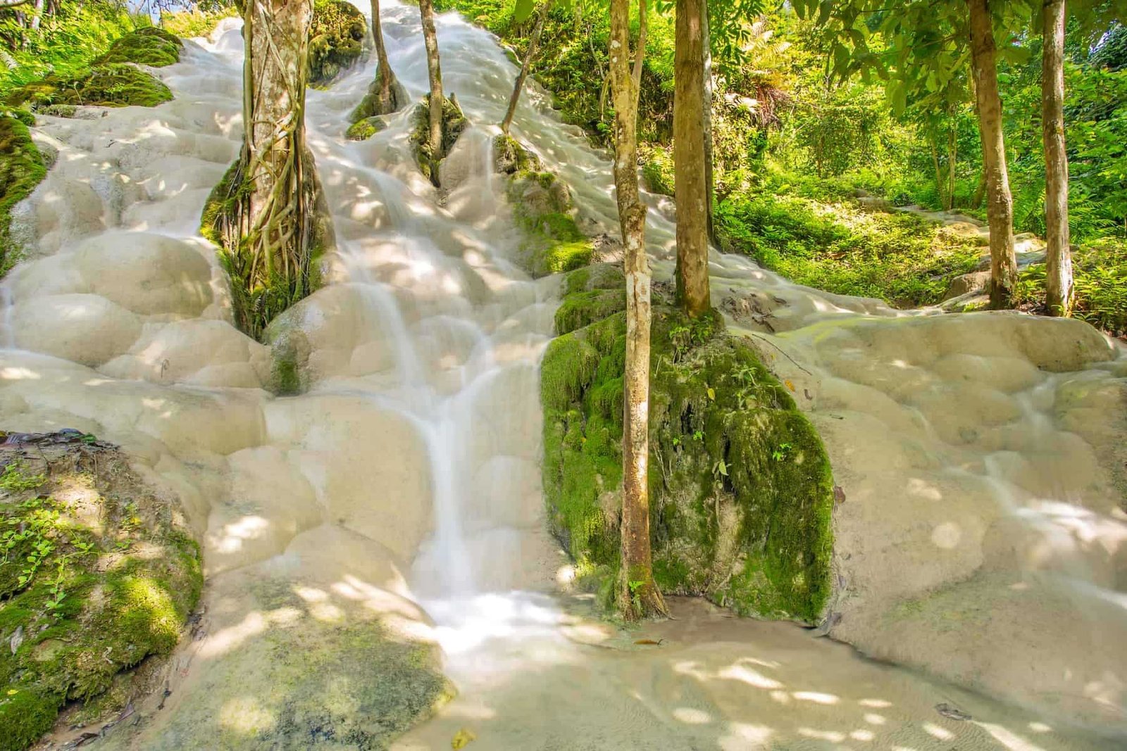 Namtok Bua Tong (Sticky waterfall) in Northern Thailand