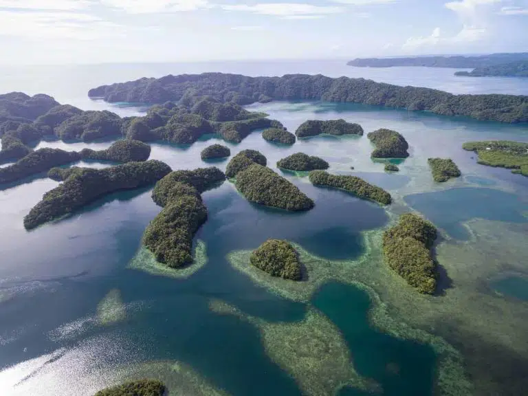 Micronesia-Palau
