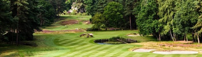 Lush green golf course surrounded by tall trees and vibrant purple flowers, ideal for golf vacations and outdoor relaxation.