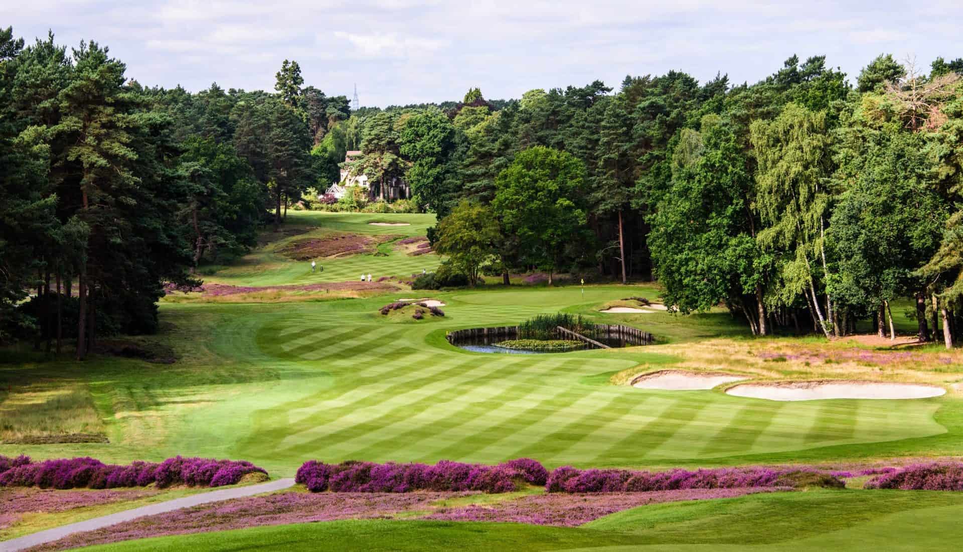 Lush green golf course surrounded by tall trees and vibrant purple flowers, ideal for golf vacations and outdoor relaxation.